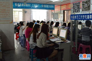 萬江地區計算機技術培訓指南 掌握數字時代的核心競爭力